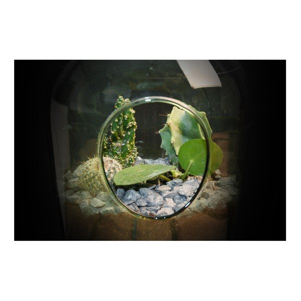 Aerarium aperto , 3 l - Esschert Design-image-1