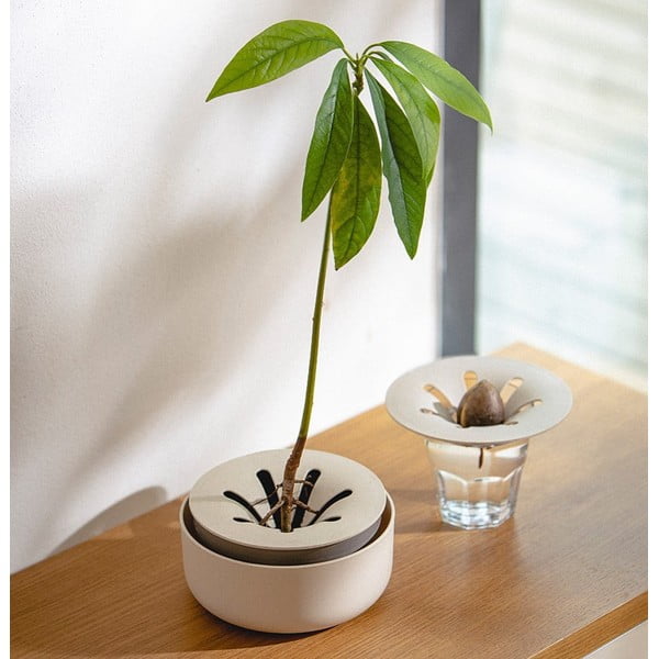 Ciotola in plastica per germogliare le erbe ø 16 cm Regrow - Plastia-image-1