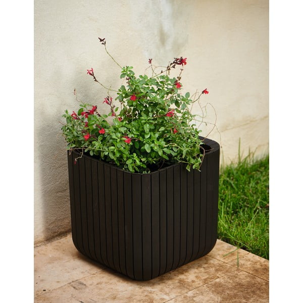 Vaso da fiori in plastica Cube - Keter-image-1