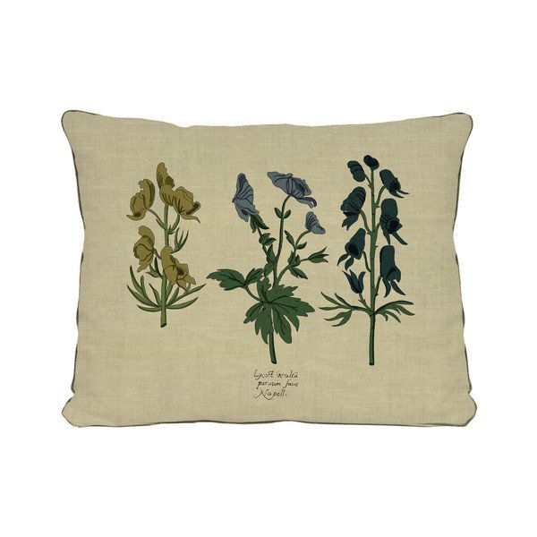 Cuscino beige con motivo floreale Pianta, 50 x 35 cm - Surdic