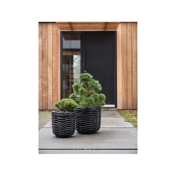 Set di vasi per fiori in rattan 2 pz ø 52 cm Vilda – Villa Collection-image-3