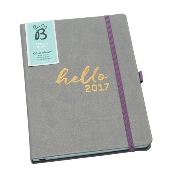Plánovací rodinný diář Busy B Family 2017