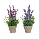 Lavanda artificiale 2 pezzi (altezza 27 cm) - Casa Selección
