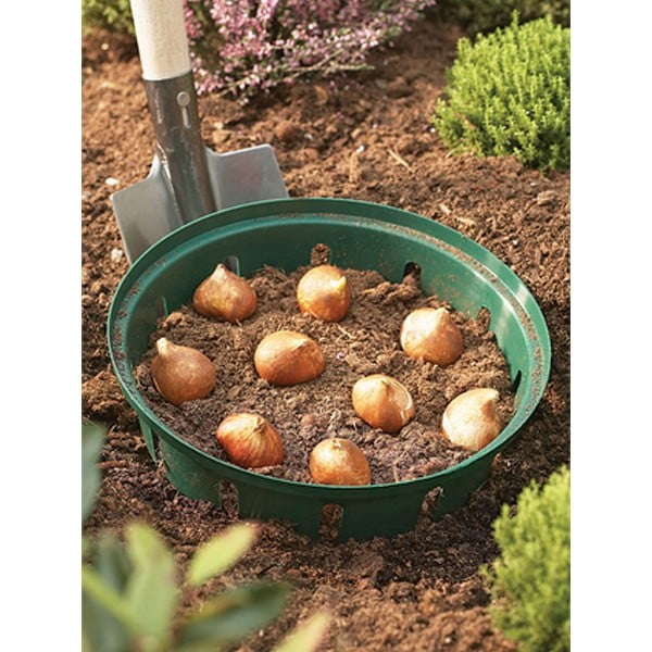 Cassetta rialzata per coltivazione - Garden Pleasure-image-1