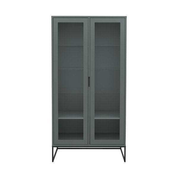 Vetrina grigio-verde 90x178 cm Lipp - Tenzo