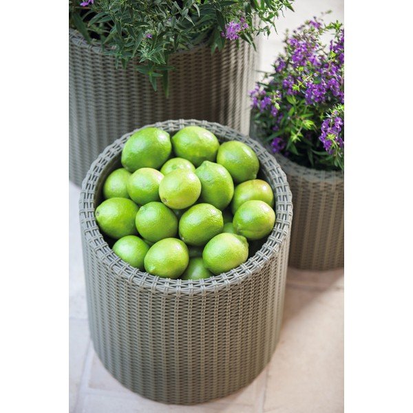 Fioriera grigia, ø 35 cm - Keter-image-1