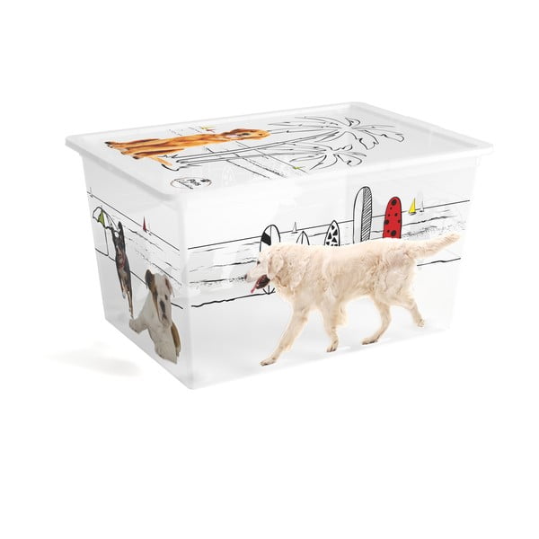 Scatola con coperchio bianca in plastica 55x39x31 cm C Box Style – KIS