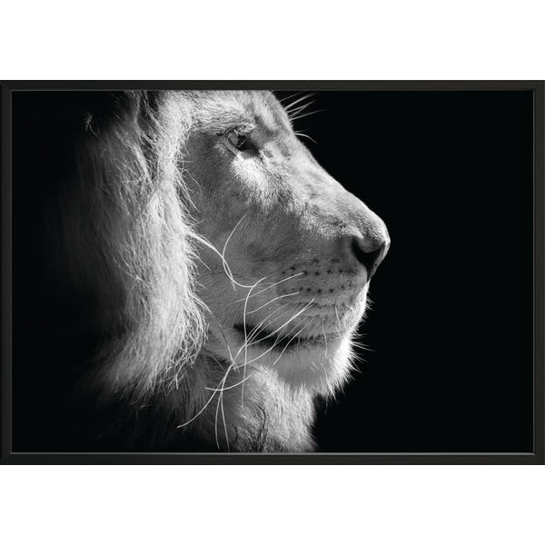 Poster in bianco e nero, 70 x 50 cm Lion King - DecoKing