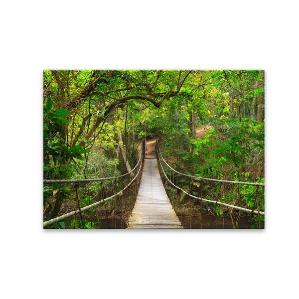 Immagine Glas Nature Forest Bridge, 80 x 120 cm - Styler