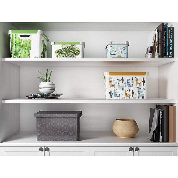 Contenitore grigio scuro con coperchio , 22 l Art Deco - Curver-image-1