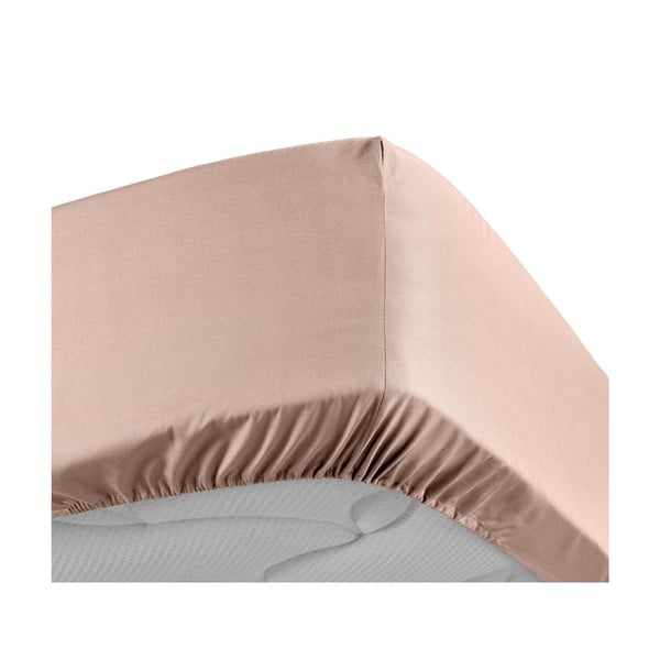 Lenzuolo in percalle di cotone elasticizzato rosa 160x200 cm Percaline - douceur d'intérieur-image-3