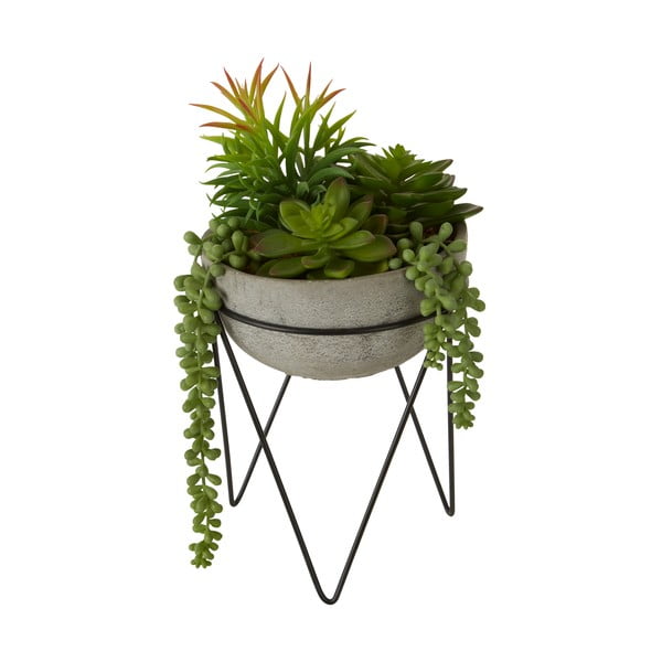 Succulenta artificiale (altezza 36 cm) Fiori - Premier Housewares