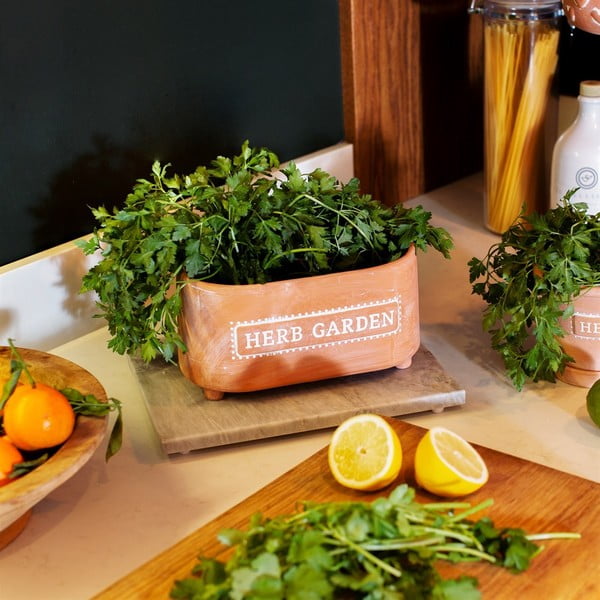 Vaso in terracotta, lunghezza 23 cm Herbs - Sass & Belle-image-1