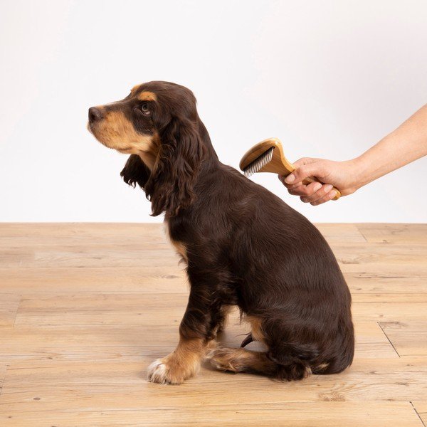 Spazzola per animali domestici - Love Story-image-1