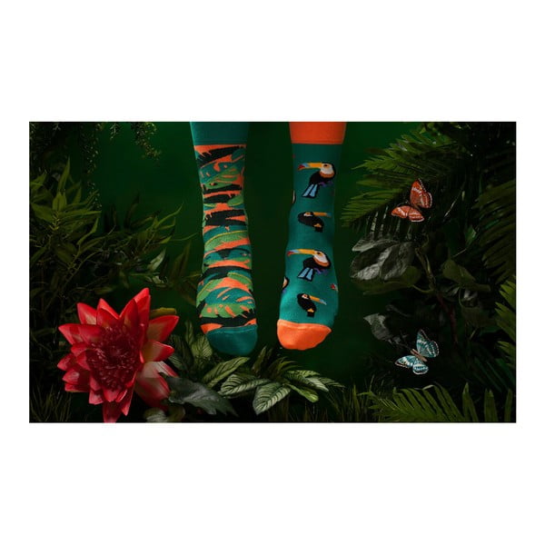 Calzini, taglia 43-46 Tropical Heat - Many Mornings-image-2