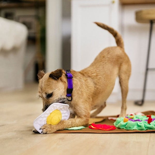 Annusare la coperta Brunch - P.L.A.Y.-image-1