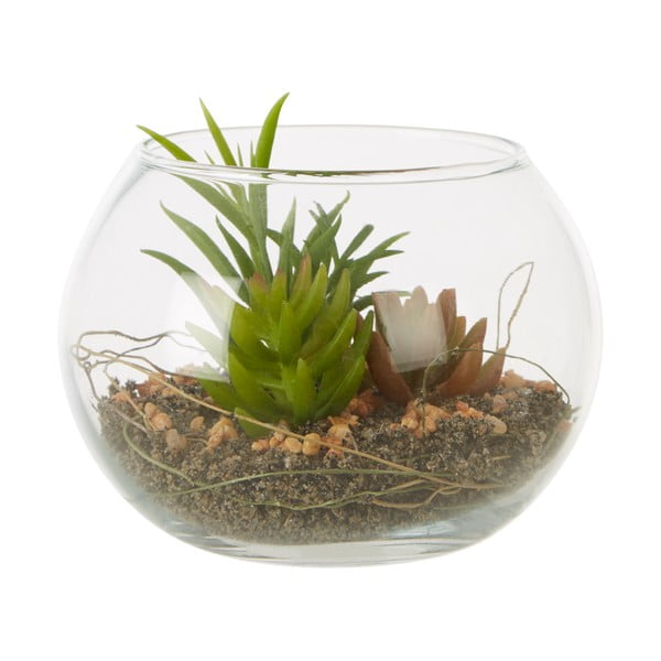 Succulente artificiali in vaso di vetro Fiori - Premier Housewares