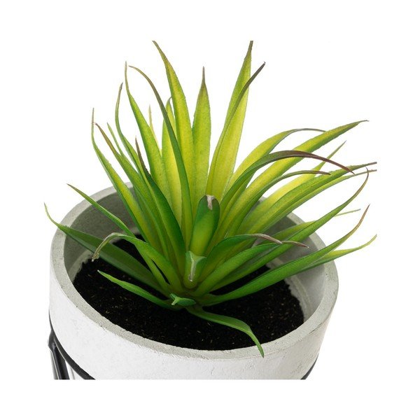 Piante artificiali in set da 4 - Casa Selección-image-4