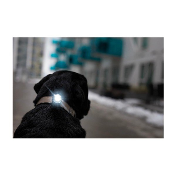 Luce per collare a LED Dark - Orbiloc-image-4