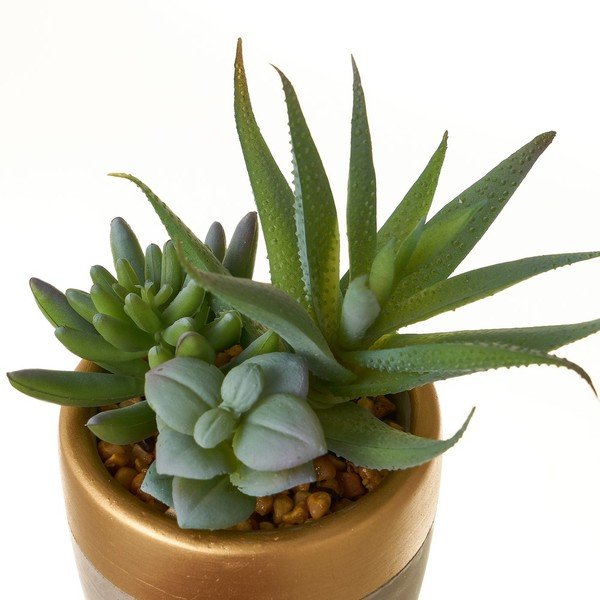 Piante artificiali in set da 4 (altezza 17 cm) Cactus - Casa Selección-image-3