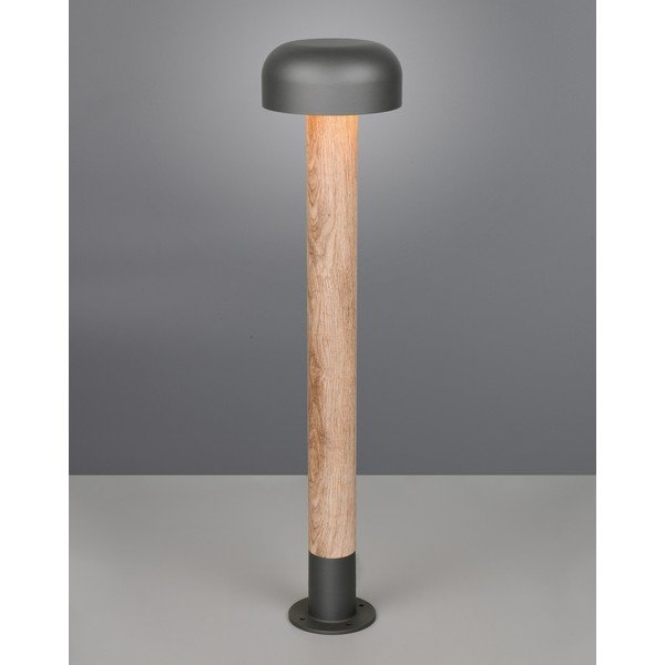 Illuminazione esterna a colonna ø 19 cm Fraser – Trio-image-1