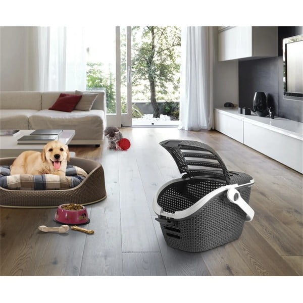 Scatola per il trasporto di animali grigio scuro - Curver-image-1