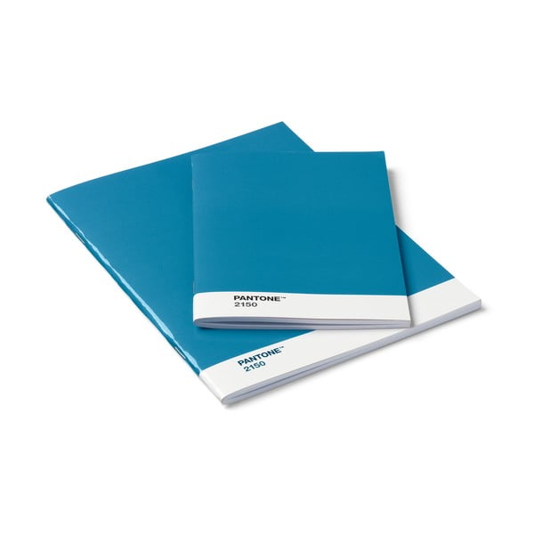 Set di 2 quaderni blu - Pantone