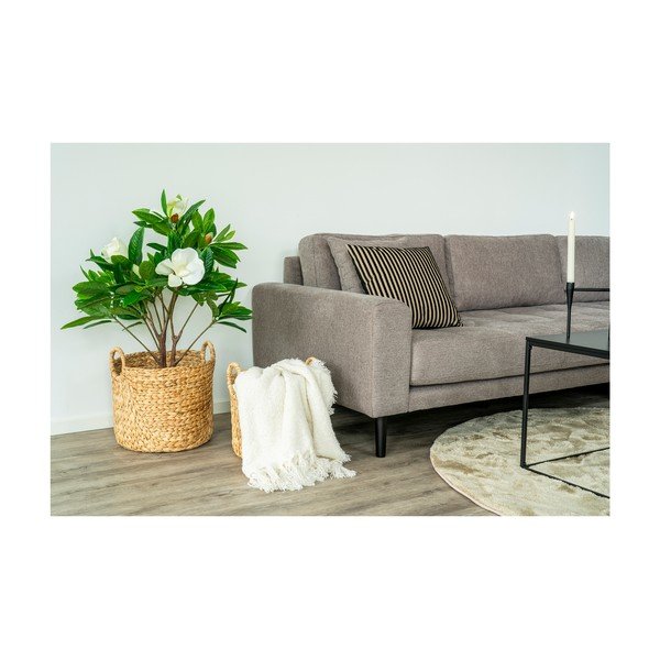 Cuscino decorativo 43x43 cm Serpa - House Nordic-image-3