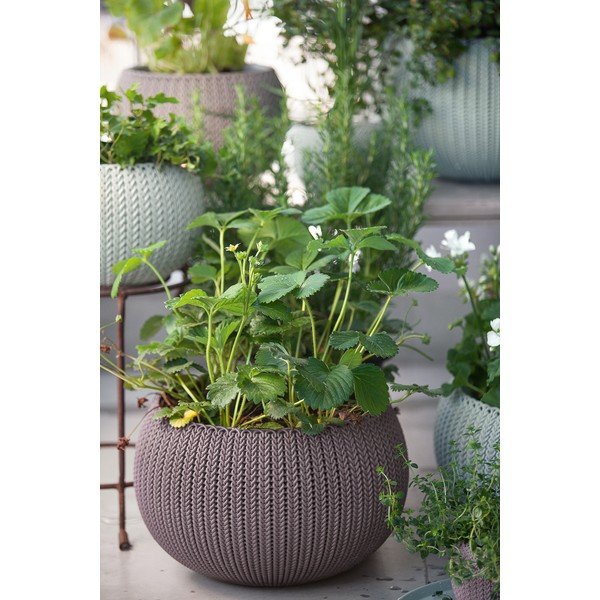 Vaso per fiori in plastica da appendere/parete ø 36 cm Cozy Violet – Keter-image-1