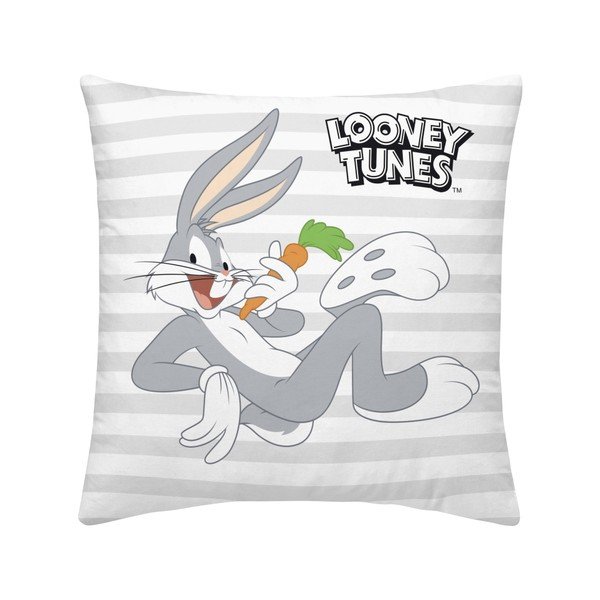 Cuscini per bambini in set da 2 Looney Tunes - Casa Selección-image-1
