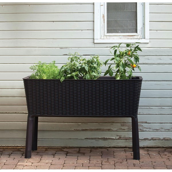 Petto Easy Grow - Keter-image-1