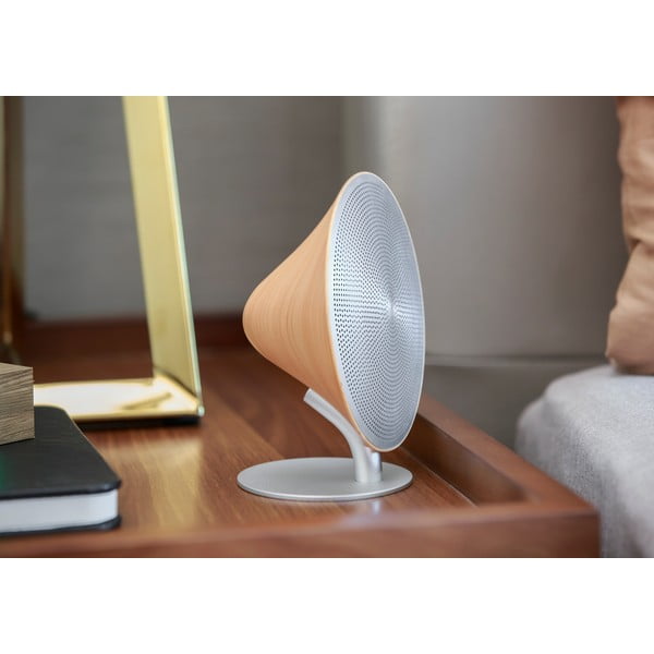 Cassa bluetooth – Gingko-image-4