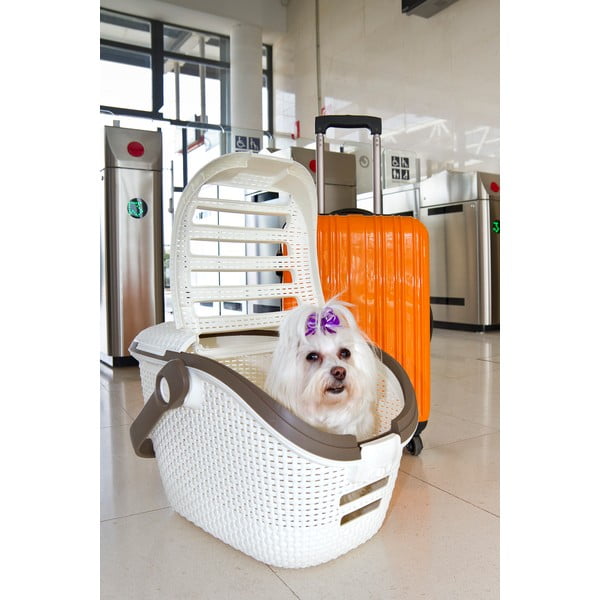 Scatola bianca per il trasporto di animali Vintage - Curver-image-1