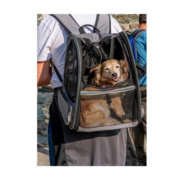 Borsa per animali domestici 27x33 cm - Love Story-image-1