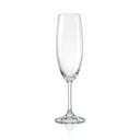 Set di 6 bicchieri da champagne, 220 ml Lara - Crystalex