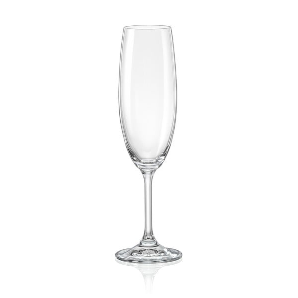 Set di 6 bicchieri da champagne, 220 ml Lara - Crystalex