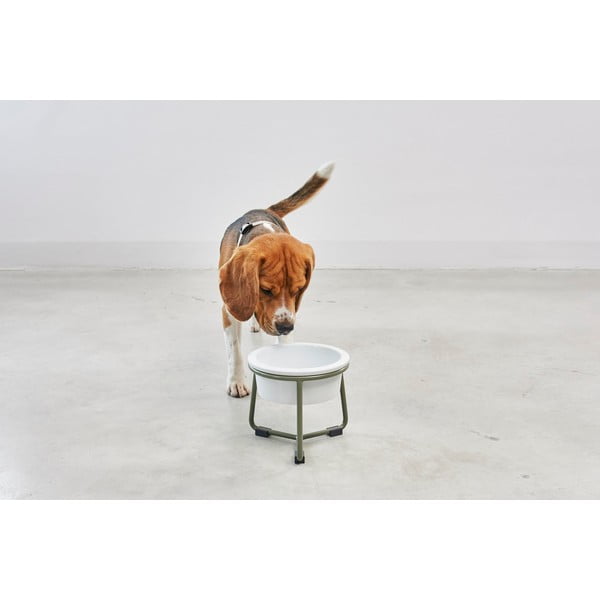 Ciotola con supporto in porcellana per cane ø 20 cm Pranzo Grolive M – MiaCara-image-2