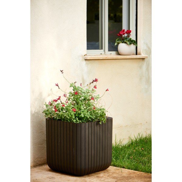 Vaso da fiori in plastica Cube - Keter-image-1