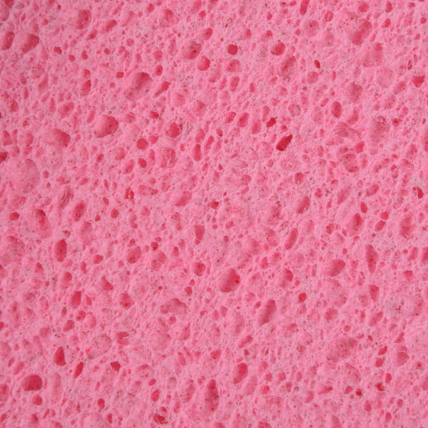 Spugne per piatti in set da 16 - Homéa-image-1