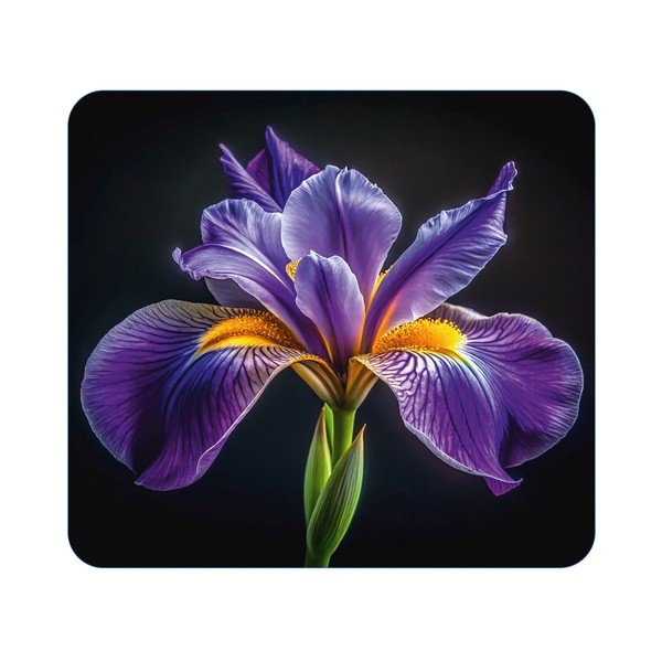 Accessorio per piano cottura in vetro temperato 50x56 cm Abdeckplatte  – Wenko