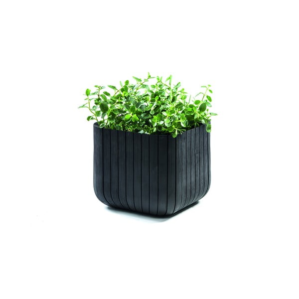 Vaso da fiori in plastica Cube - Keter-image-2