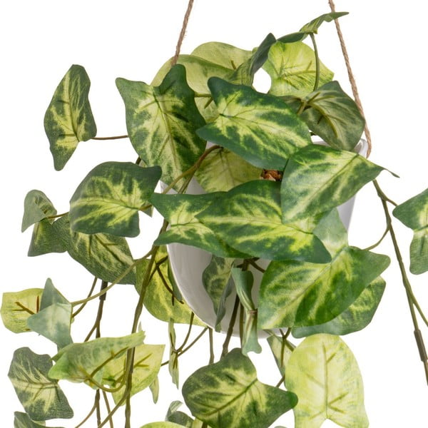 Piante artificiali in set da 2 (altezza 55 cm) - Casa Selección-image-3