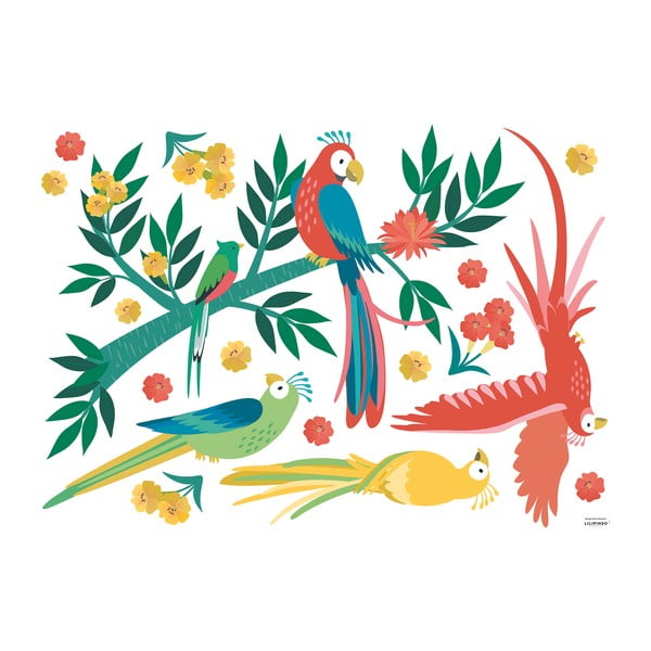 Foglio adesivo 90x64 cm Parrots - Lilipinso