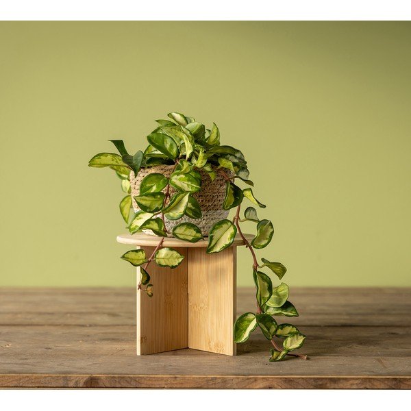Supporto per fiori in bambù ø 25 cm (altezza totale 19,5 cm) – Esschert Design-image-1