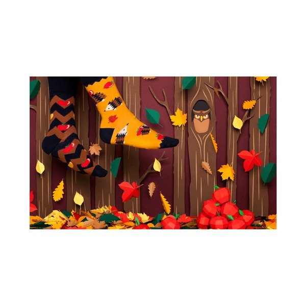 Calzini Apple Hedgehog, taglia 43-46 - Many Mornings-image-1
