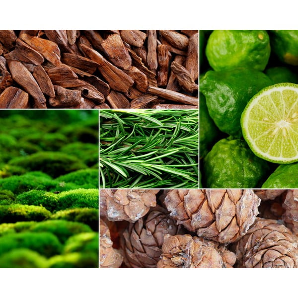 Candela di soia profumata tempo di combustione 60 h Tobacco&Leather/Oud&Bergamote - Privé Home-image-1