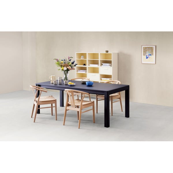 Piatti aggiuntivi per tavolo da pranzo 2 pezzi con piano nero 53,5x96 cm Join by Hammel - Hammel Furniture-image-1
