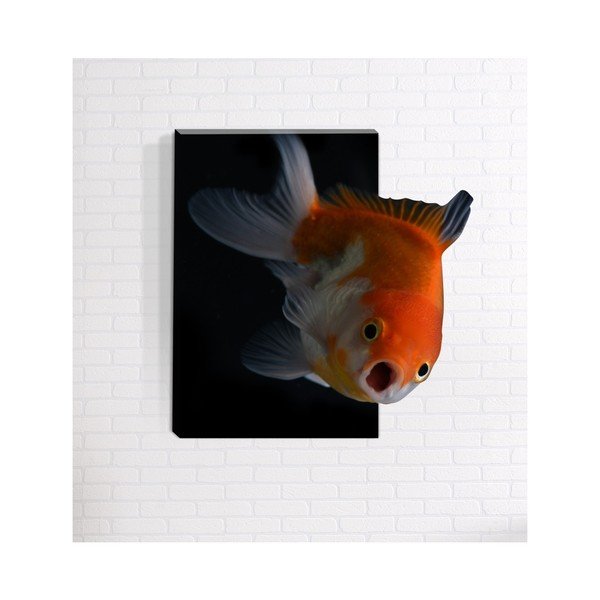 Nástěnný 3D obraz Mosticx Nemo, 40 x 60 cm