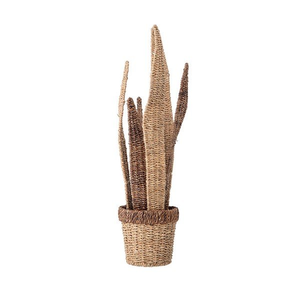 Piante da decorazione naturali Deco - Bloomingville
