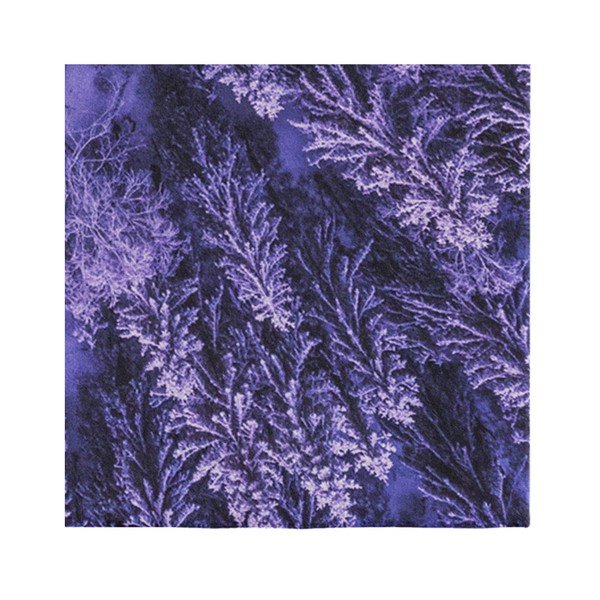 Fialový koberec Oyo home Suzzo Flower, 140 x 220 cm-image-3
